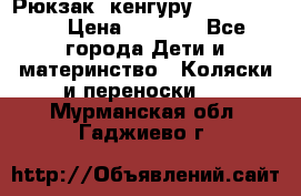 Рюкзак -кенгуру Baby Bjorn  › Цена ­ 2 000 - Все города Дети и материнство » Коляски и переноски   . Мурманская обл.,Гаджиево г.